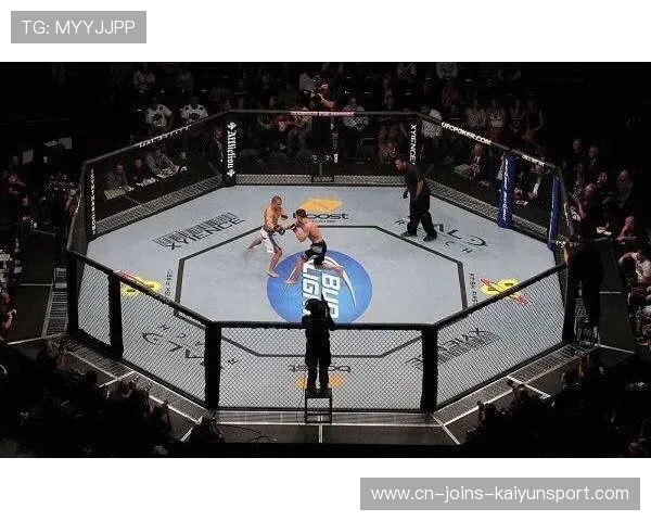 UFC对攻拳拳到肉：竞技与激情的极致碰撞